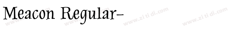 Meacon Regular字体转换
